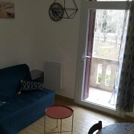 Appartement Cure Ou Vacances Avec Wifi Et Parking Et A 100M Des Thermes Amélie-les-Bains-Palalda Exterior photo
