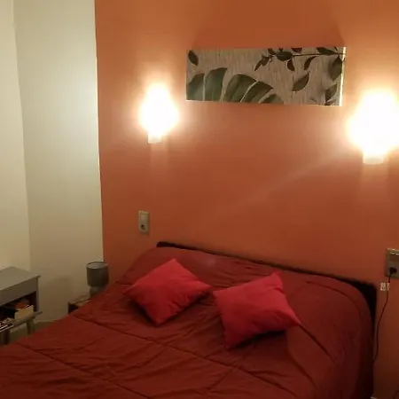 Appartement Cure Ou Vacances Avec Wifi Et Parking Et A 100M Des Thermes Amélie-les-Bains-Palalda Exterior photo